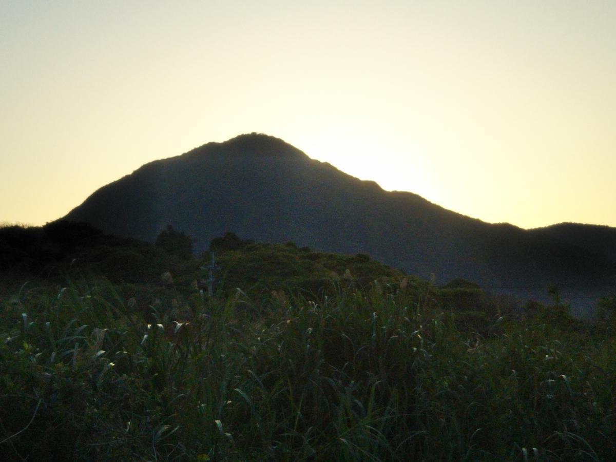 Cottage Yakusugi House Yakushima  Luaran gambar