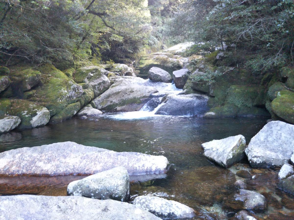 Cottage Yakusugi House Yakushima  Luaran gambar