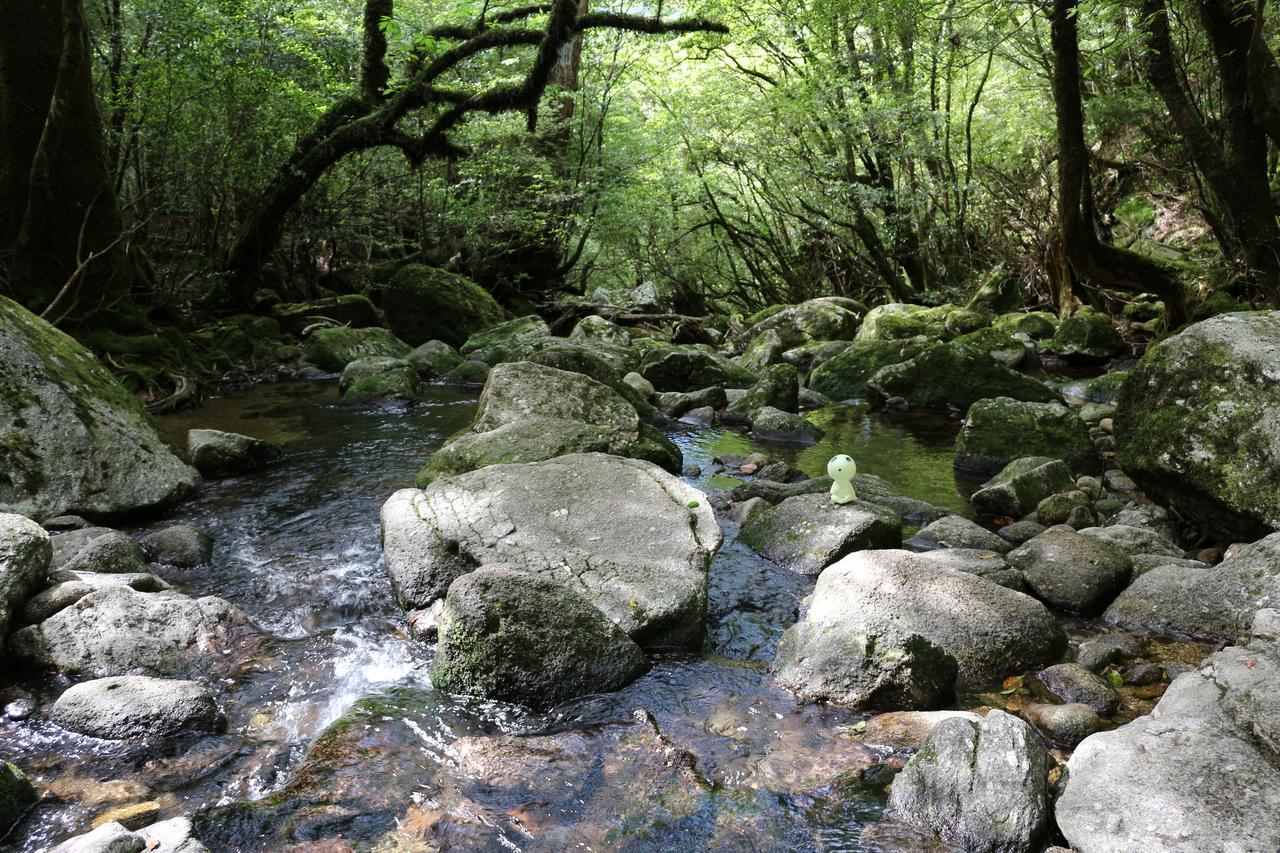 Cottage Yakusugi House Yakushima  Luaran gambar