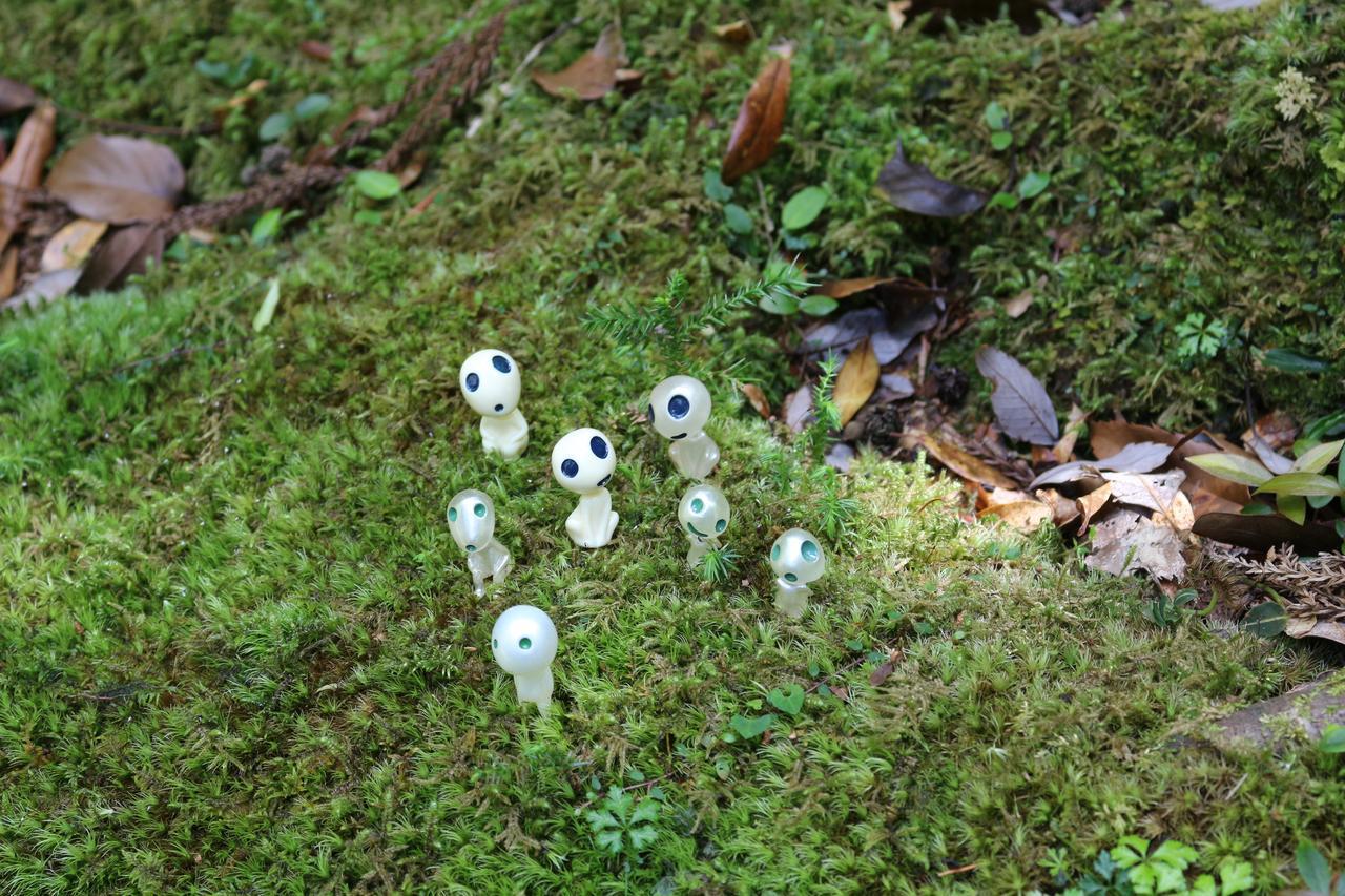 Cottage Yakusugi House Yakushima  Luaran gambar