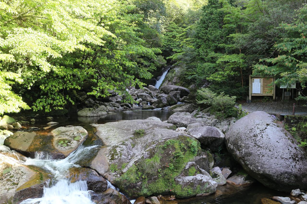 Cottage Yakusugi House Yakushima  Luaran gambar