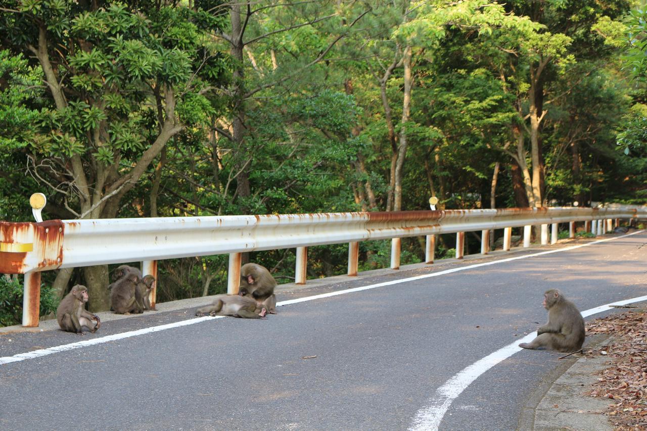 Cottage Yakusugi House Yakushima  Luaran gambar