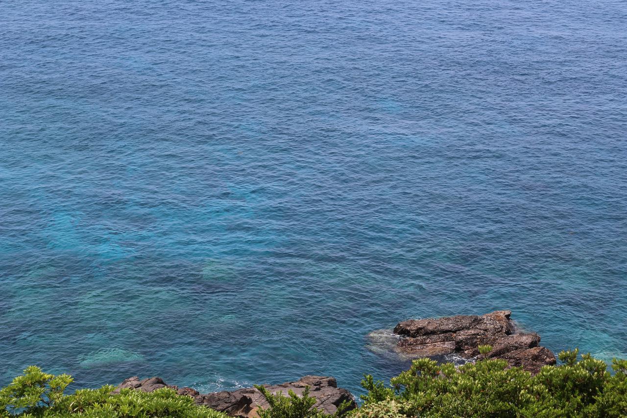 Cottage Yakusugi House Yakushima  Luaran gambar