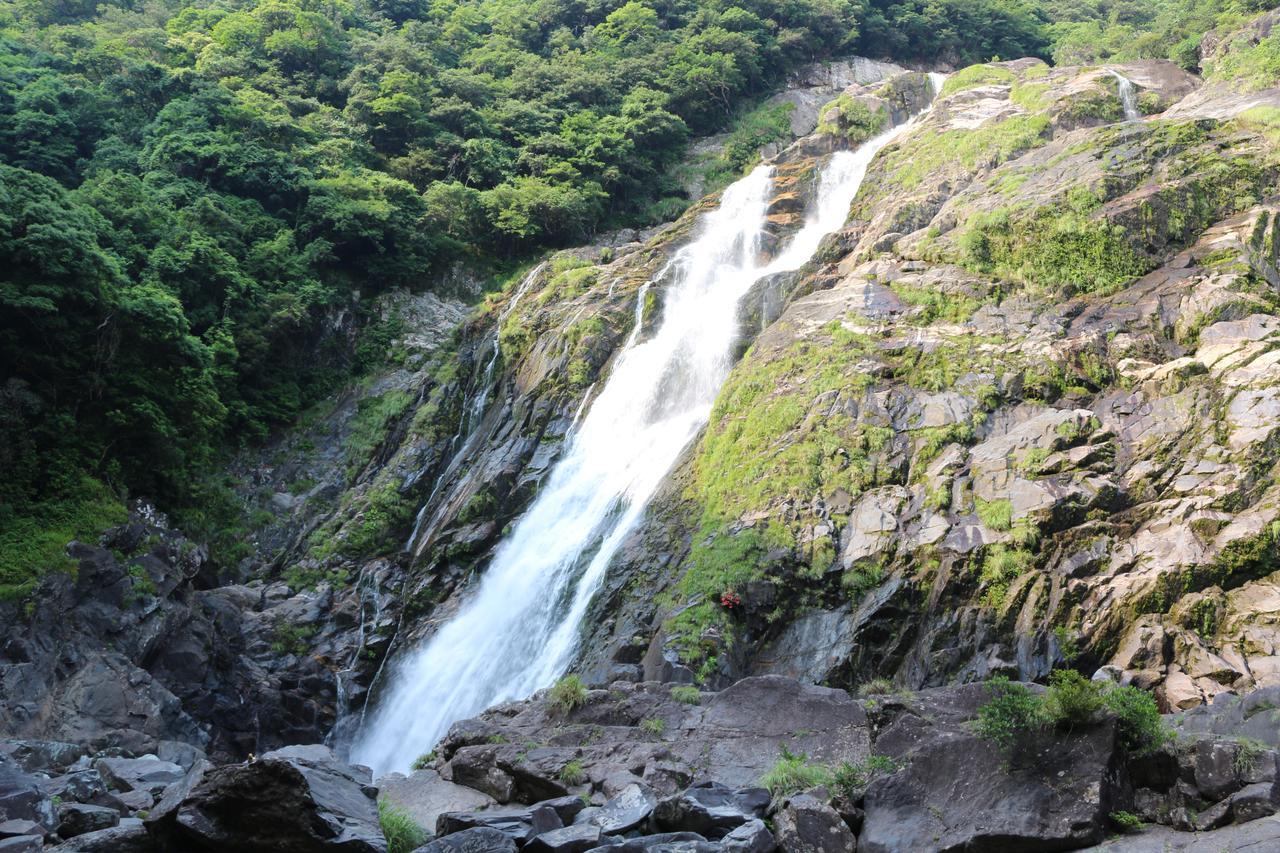 Cottage Yakusugi House Yakushima  Luaran gambar